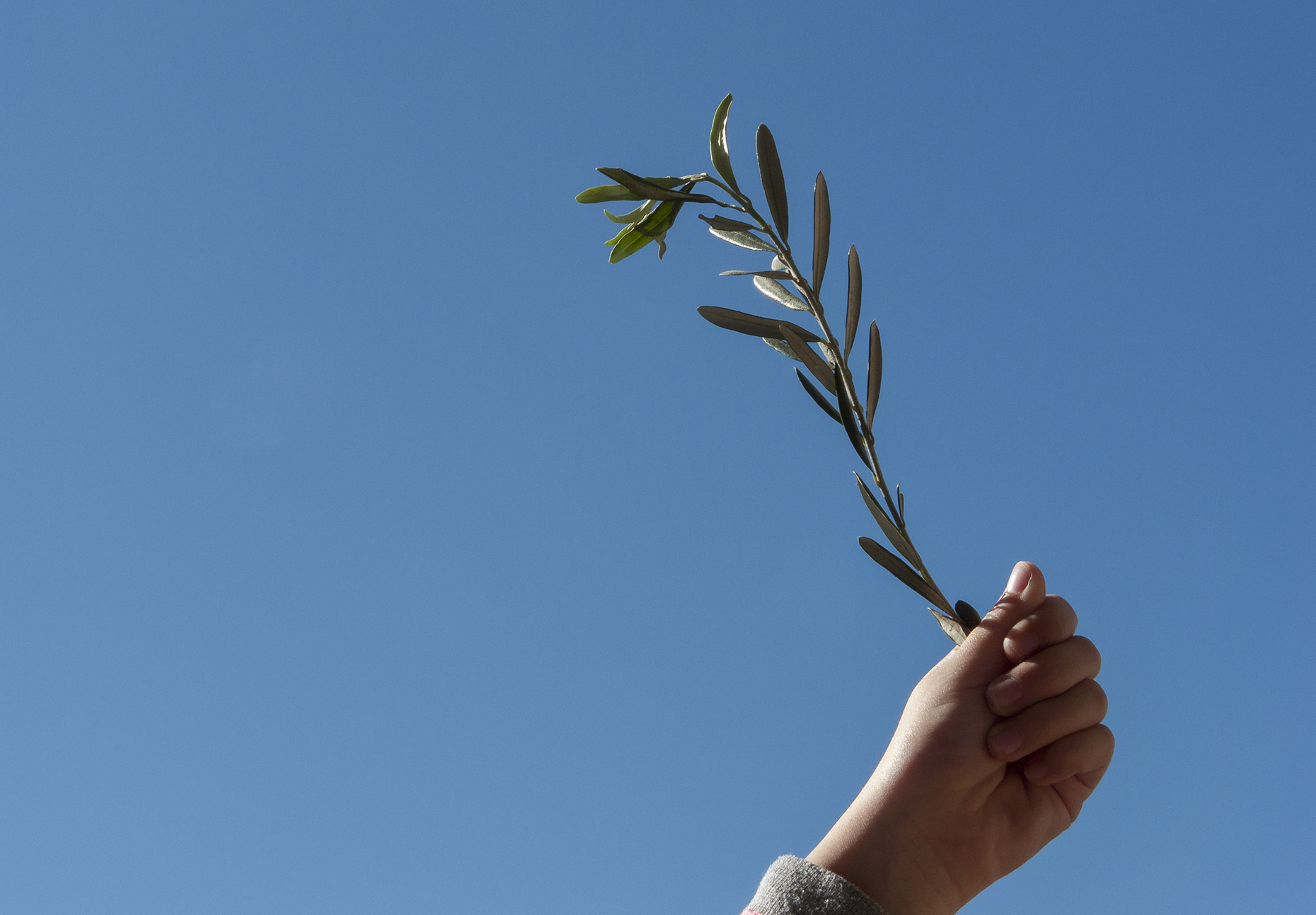 A Very Special Easter Story told by OLIVE TREE PEOPLE Founder, Thomas Lommel