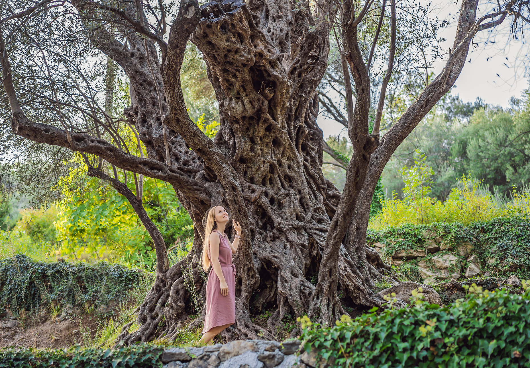 Have you hugged a tree today? Connect with your nature and find your center