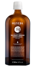 Load image into Gallery viewer, I66 The Beauty Fountain - Olive Tree People  I66 The Beauty Fountain