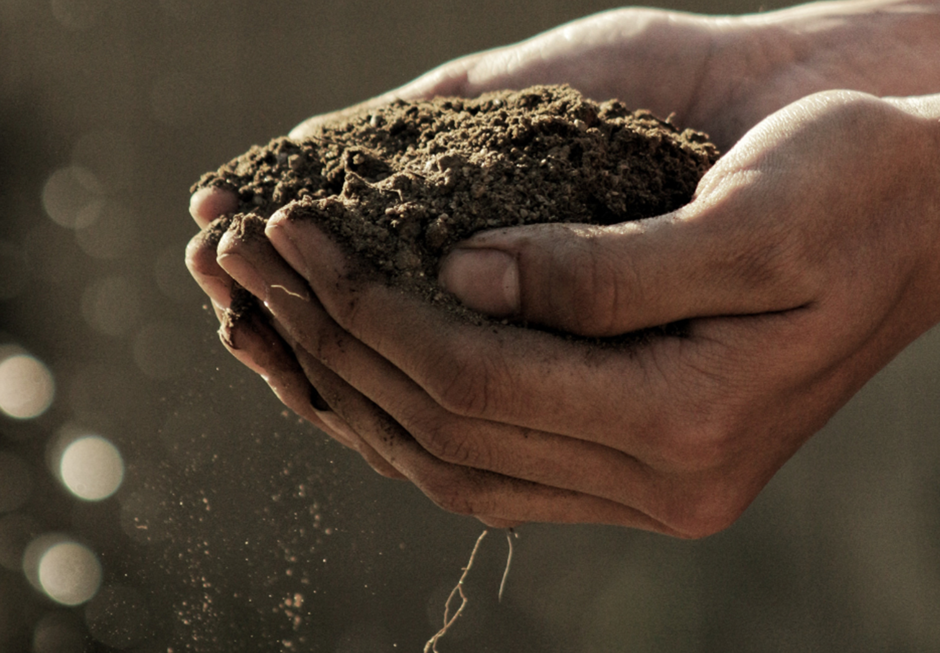 Cuida tu piel desde la base: la simbiosis entre la tierra y la piel