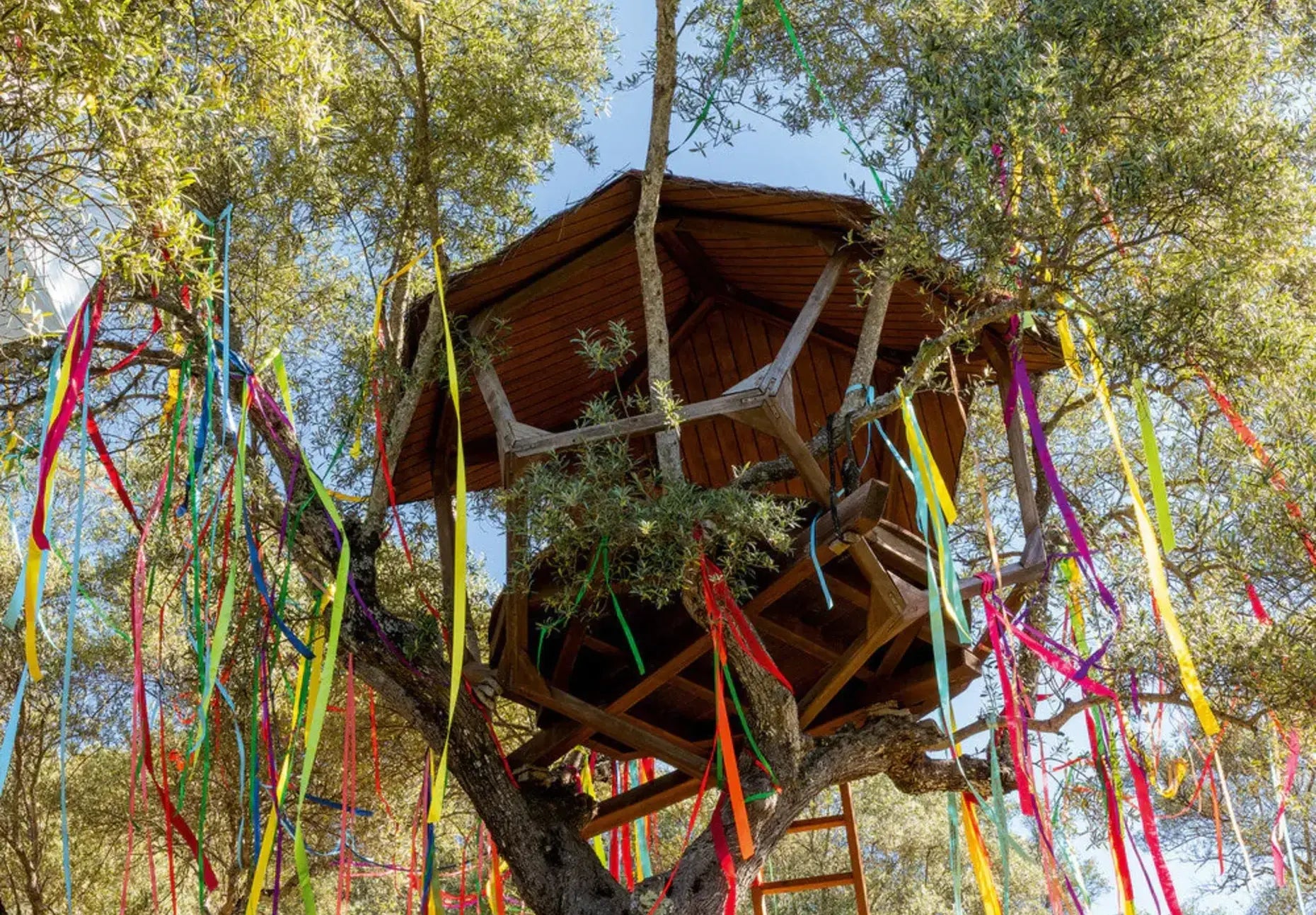 OLIVE TREE PEOPLE CELEBRATES TWO-YEAR U.S. BIRTHDAY AS FASTEST-GROWING WATERLESS BEAUTY BRAND