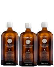 Cargar imagen en el visor de la galería, 3 x I66 La fuente de la belleza