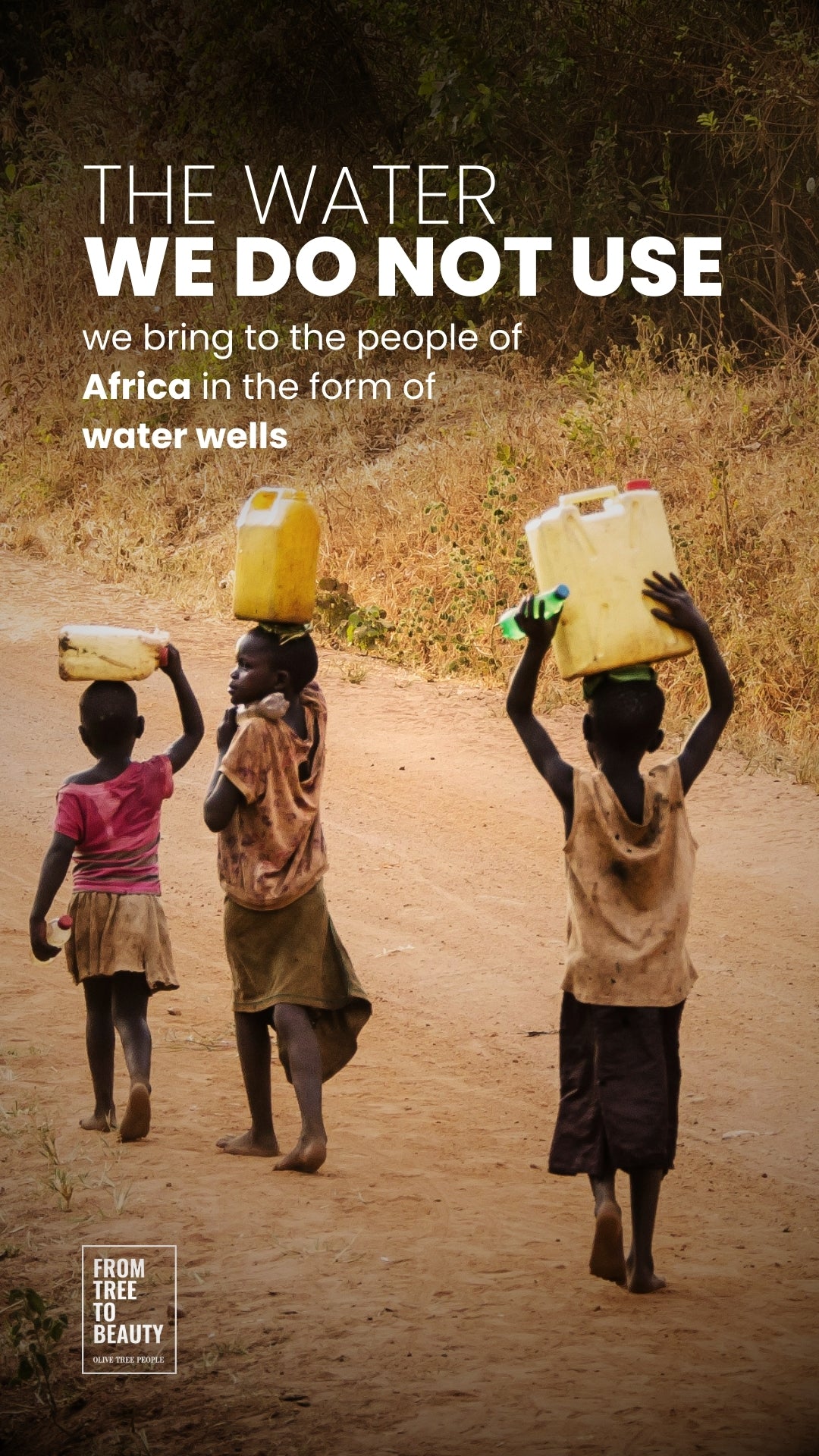 06 - Pozos de agua en África (opción 6)