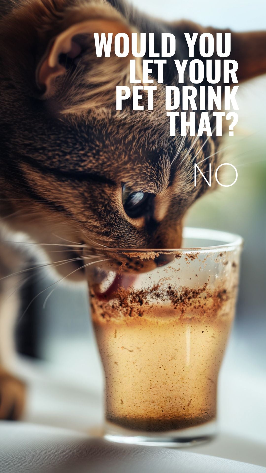 03-Don't Drink That