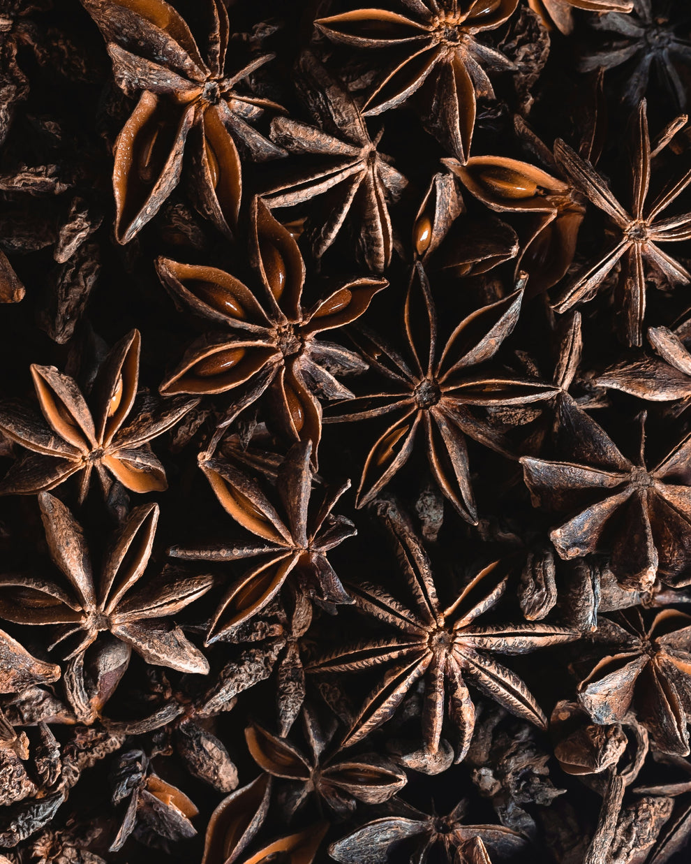 Close-up of dried star anise pods showing star-shaped brown spice with glossy seeds