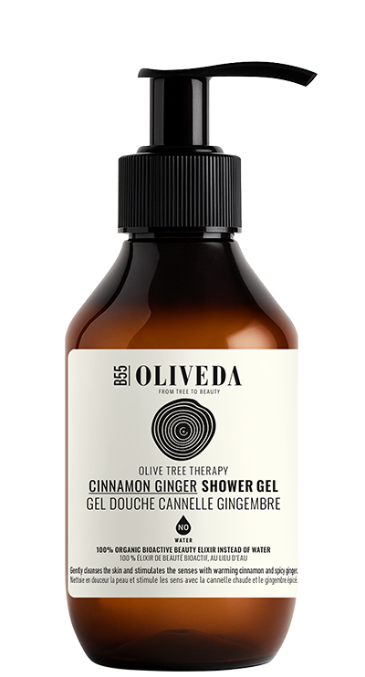 B55 Cinnamon Ginger Shower Gel