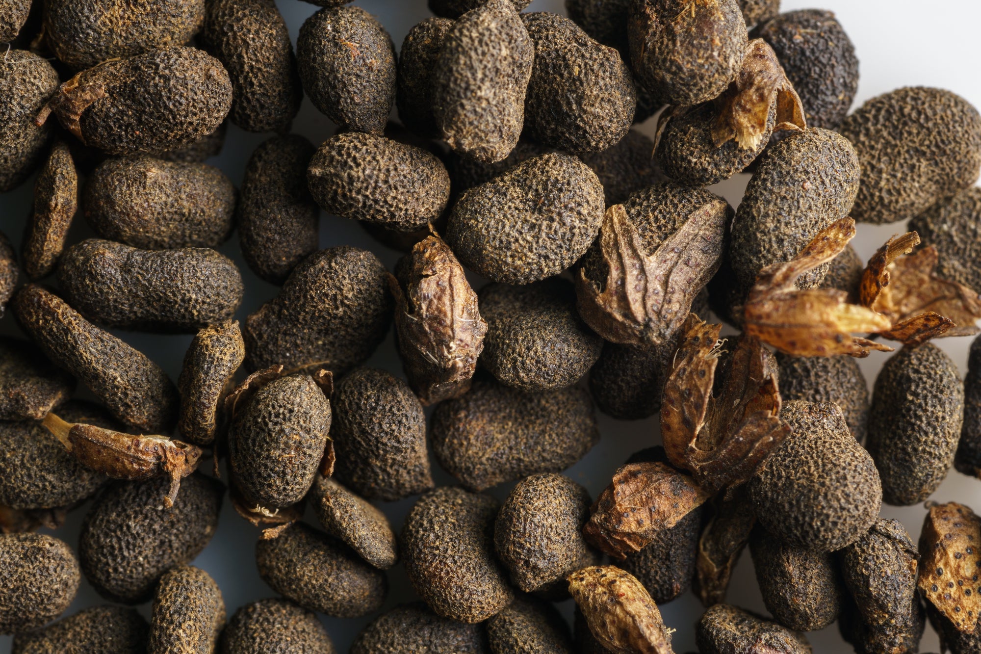 Dried dark peppercorns with wrinkled texture and a few papery husks