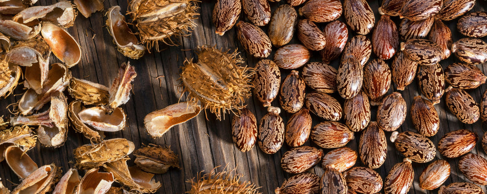 Castor beans and cracked spiky husks arranged on a dark wooden surface