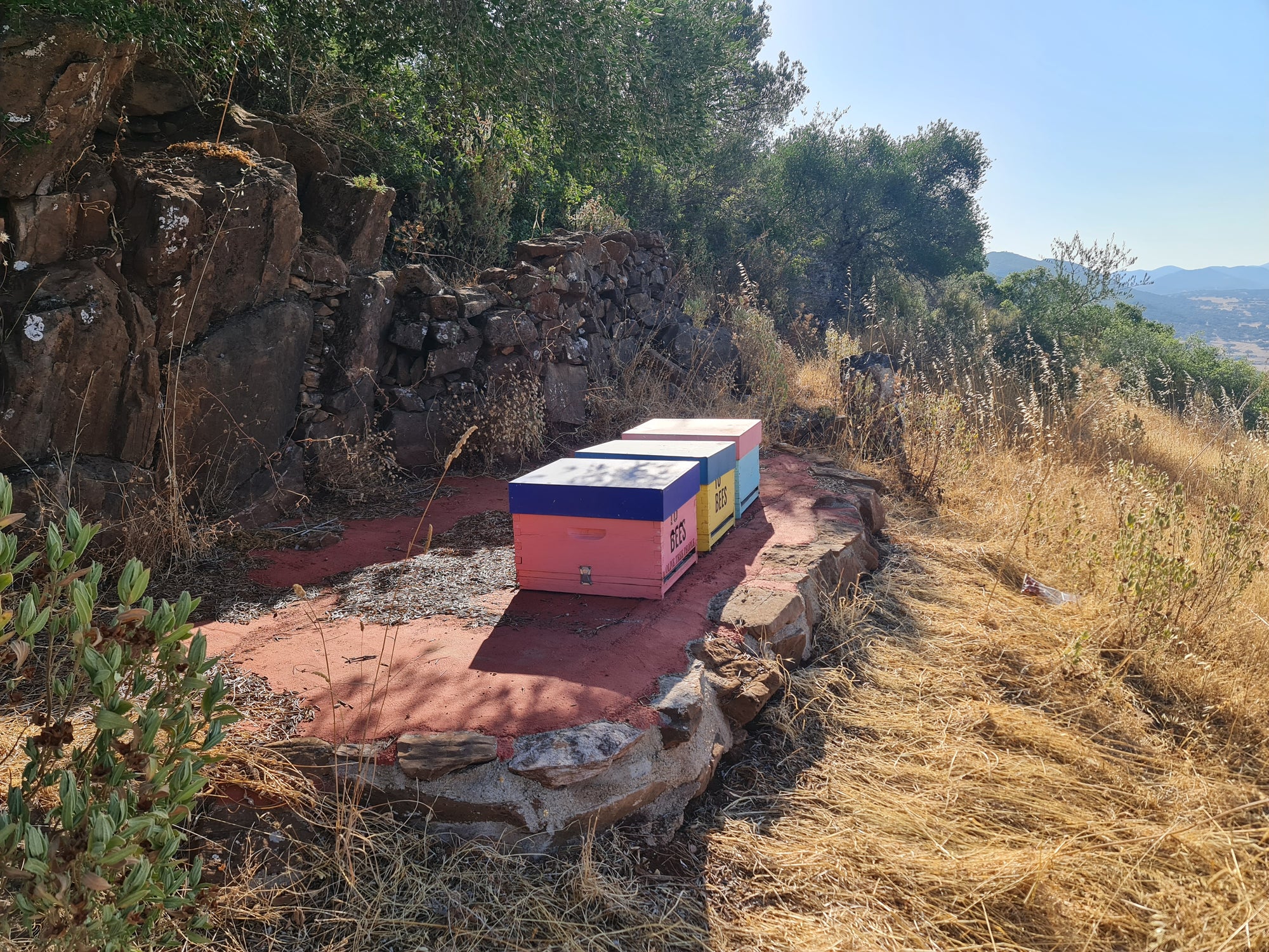 Three colorful beehives (pink, yellow, blue) on a red concrete pad beside a rock wall and dry hillside, one labeled "BEES".