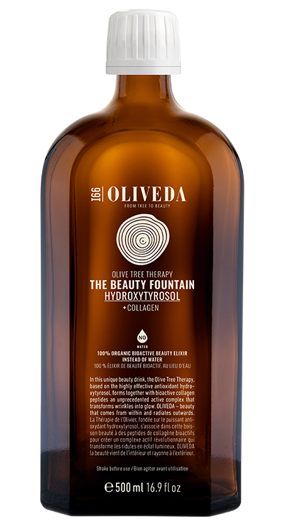 I66 The Beauty Fountain