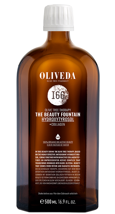 I66 The Beauty Fountain