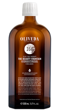 I66 The Beauty Fountain