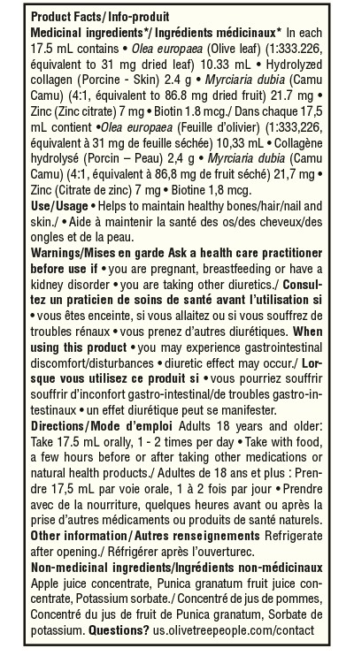 I66 The Beauty Fountain