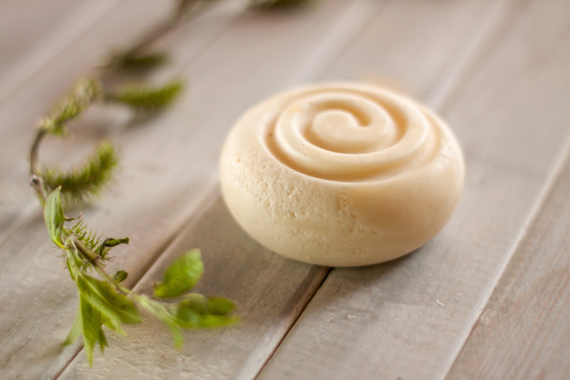 Round beige spiral soap bar on wooden planks with a sprig of green leaves