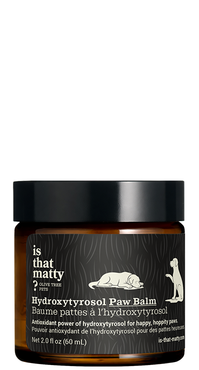 Hydroxytyrosol Paw Balm