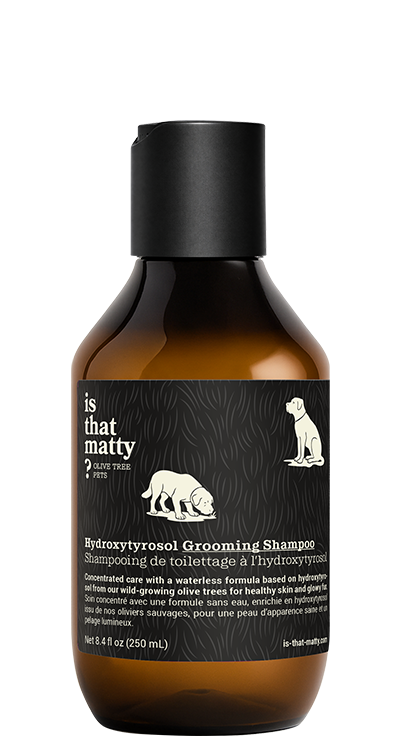 Hydroxytyrosol Grooming Shampoo
