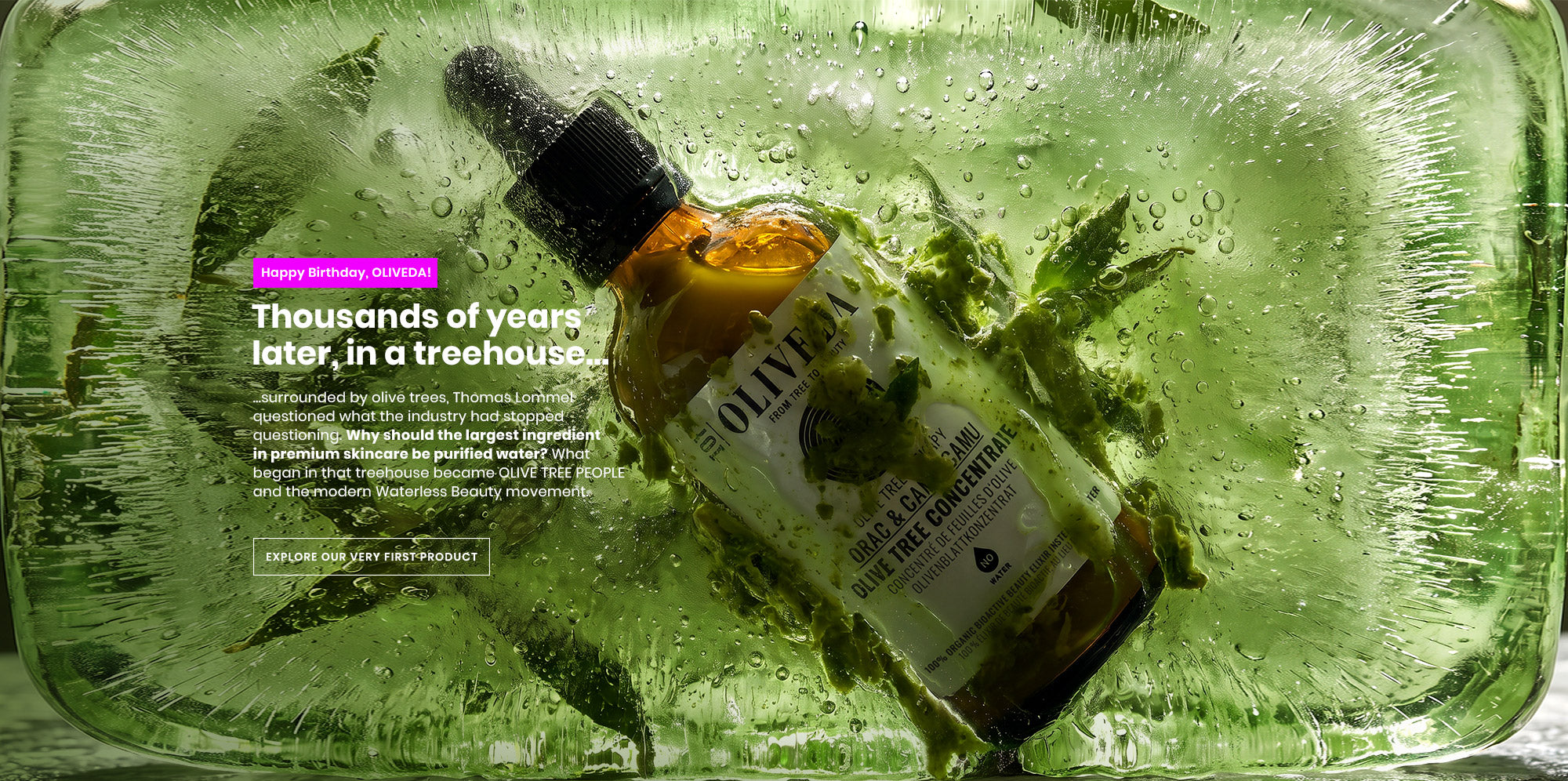 OLIVE TREE PEOPLE | From Tree to Beauty