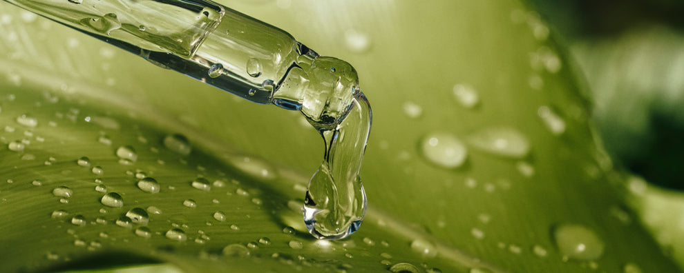 Glass dropper releasing clear serum onto a green leaf dotted with water droplets