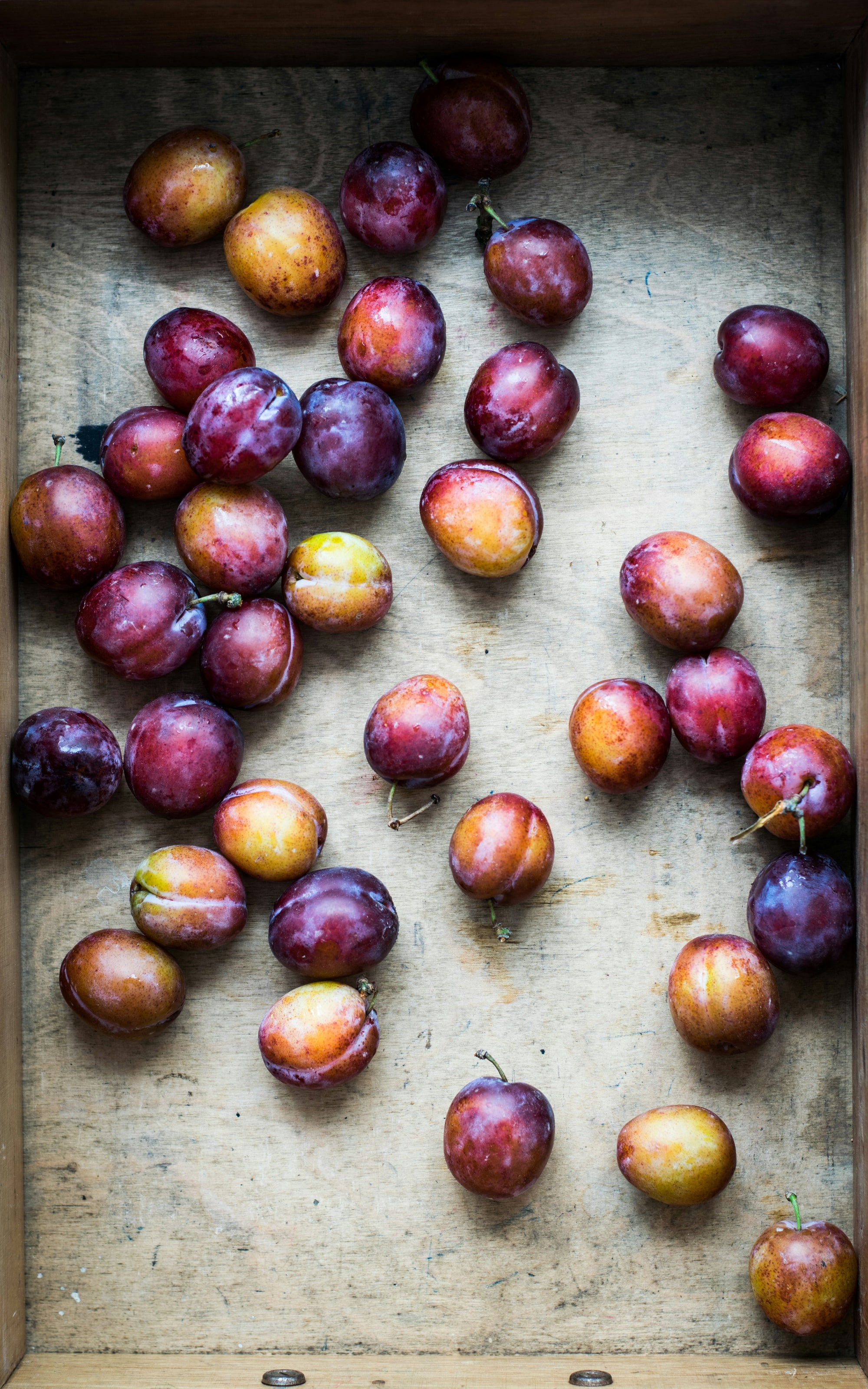 Ripe purple-and-gold plums scattered across a worn wooden tray.