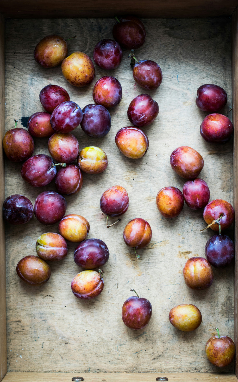 Ripe purple-and-gold plums scattered across a worn wooden tray.