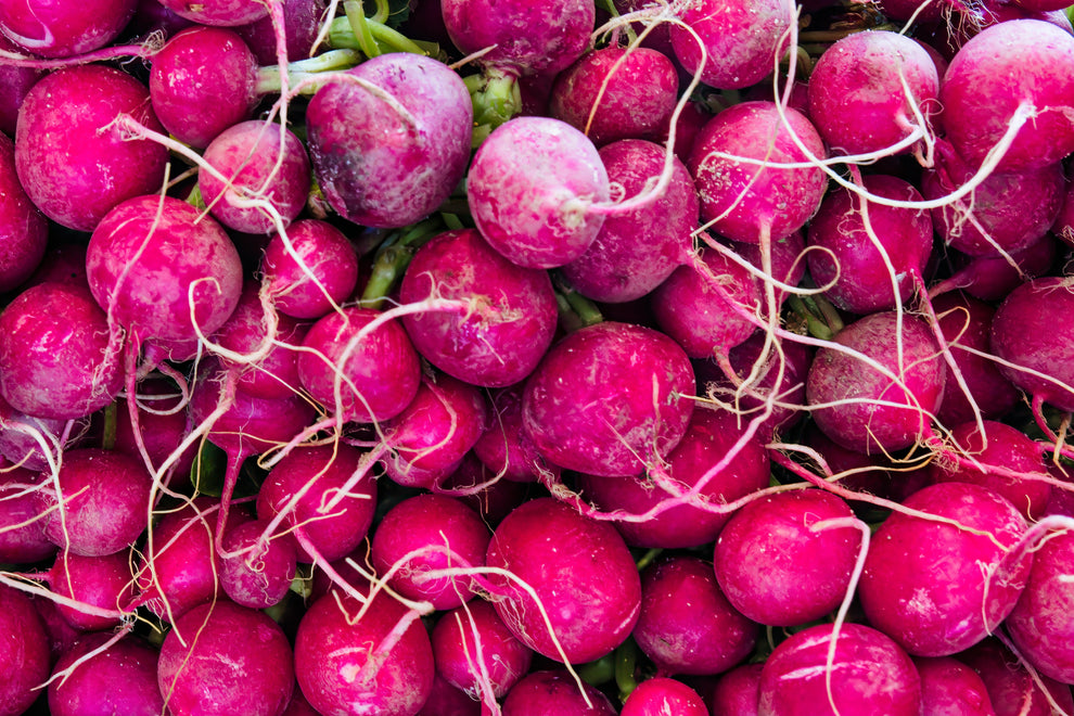 Bright magenta radishes tightly packed with thin tangled roots visible, close-up.
