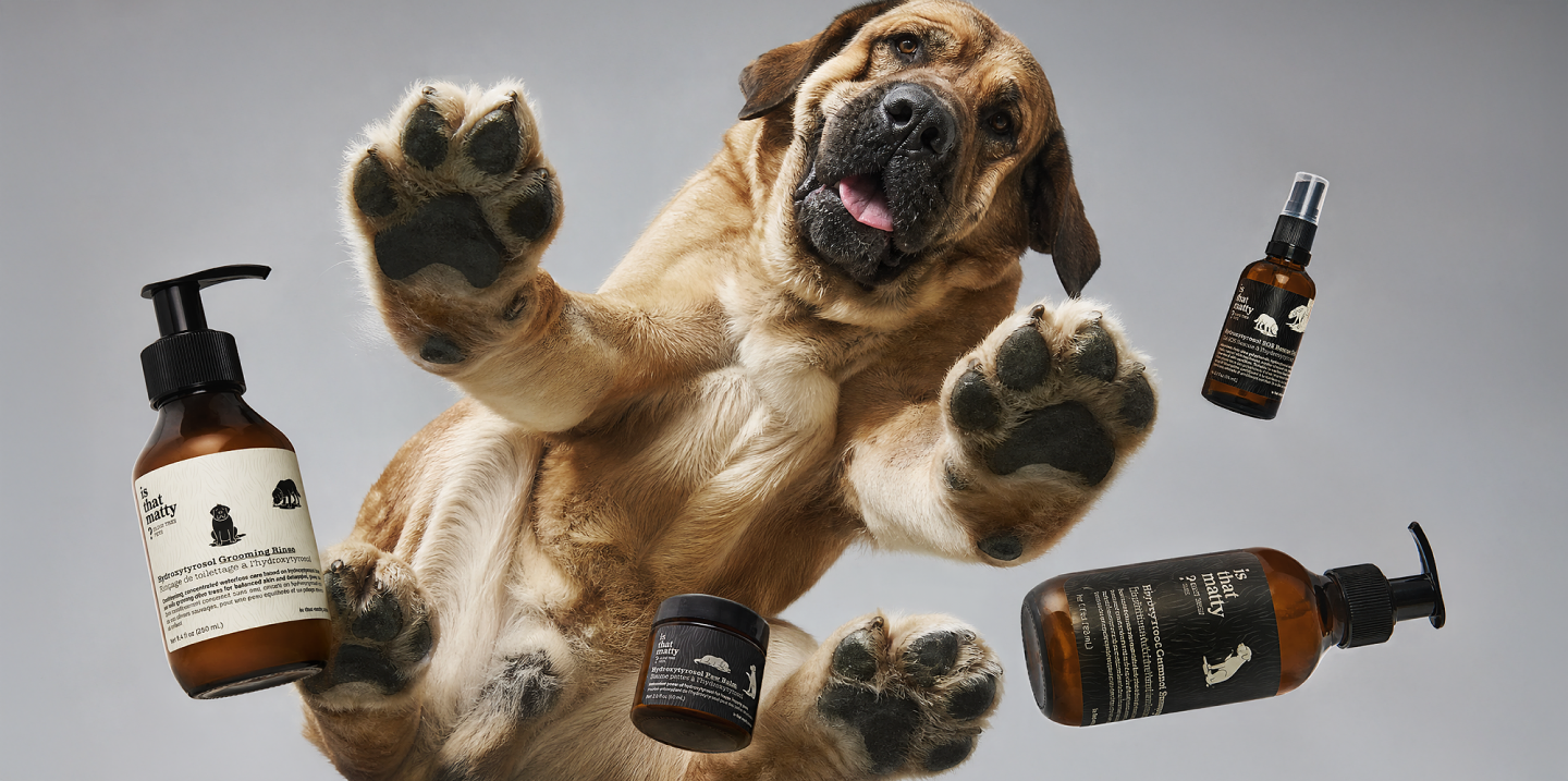 Is that Matty? 4 pet grooming products with Matty the dog.