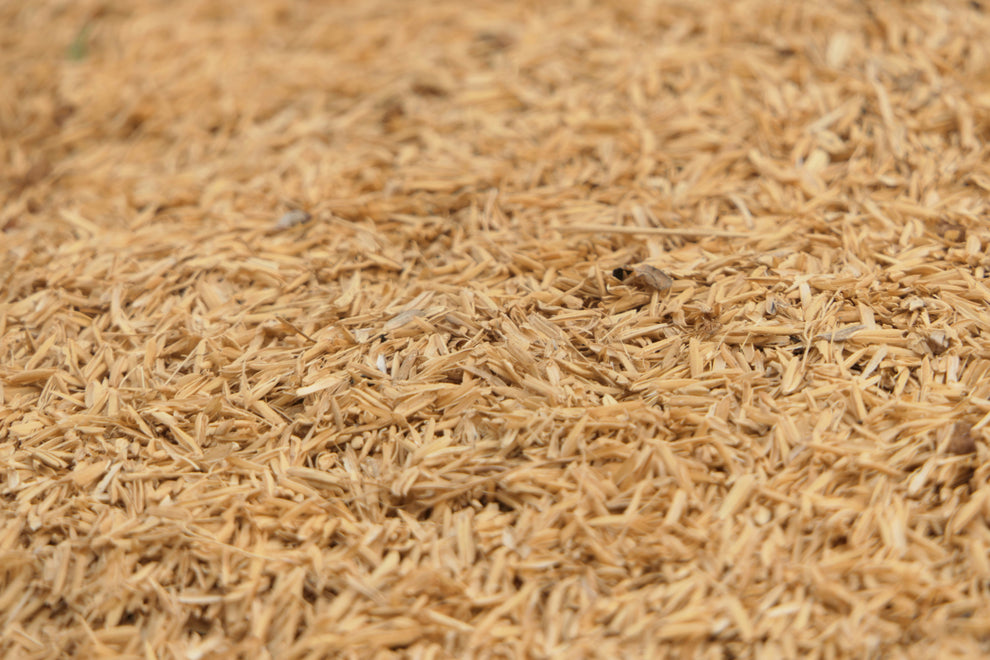 Close-up of tan rice husks (paddy husks) spread in a pile