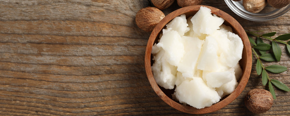 Bowl of solid shea butter with whole shea nuts and a green sprig on a wooden table