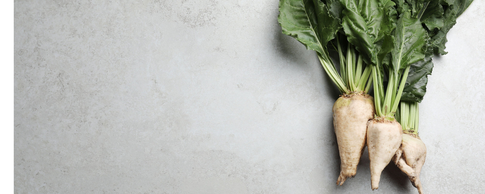 Three white root vegetables with leafy green tops arranged on a light stone surface