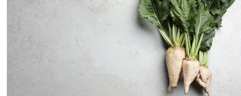 Three white root vegetables with leafy green tops arranged on a light stone surface