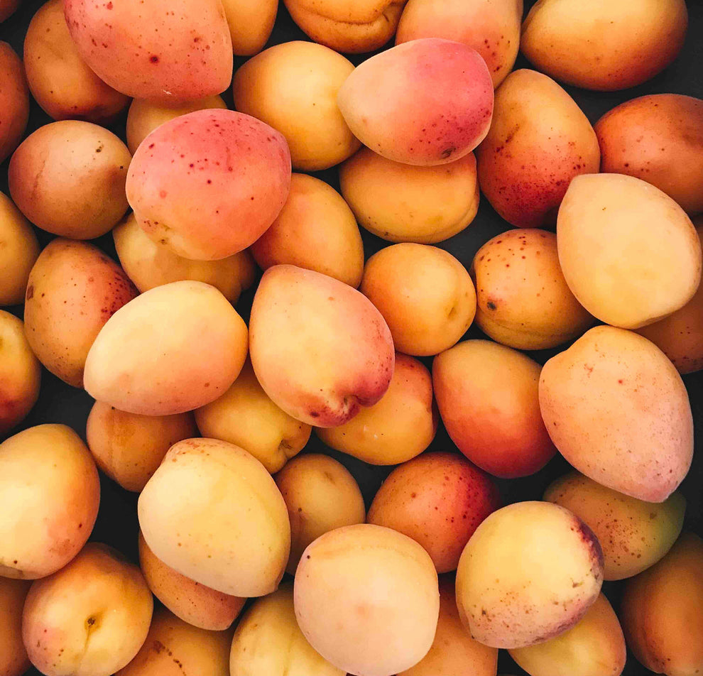 Ripe apricots with yellow-orange skins and pink blushes piled closely together