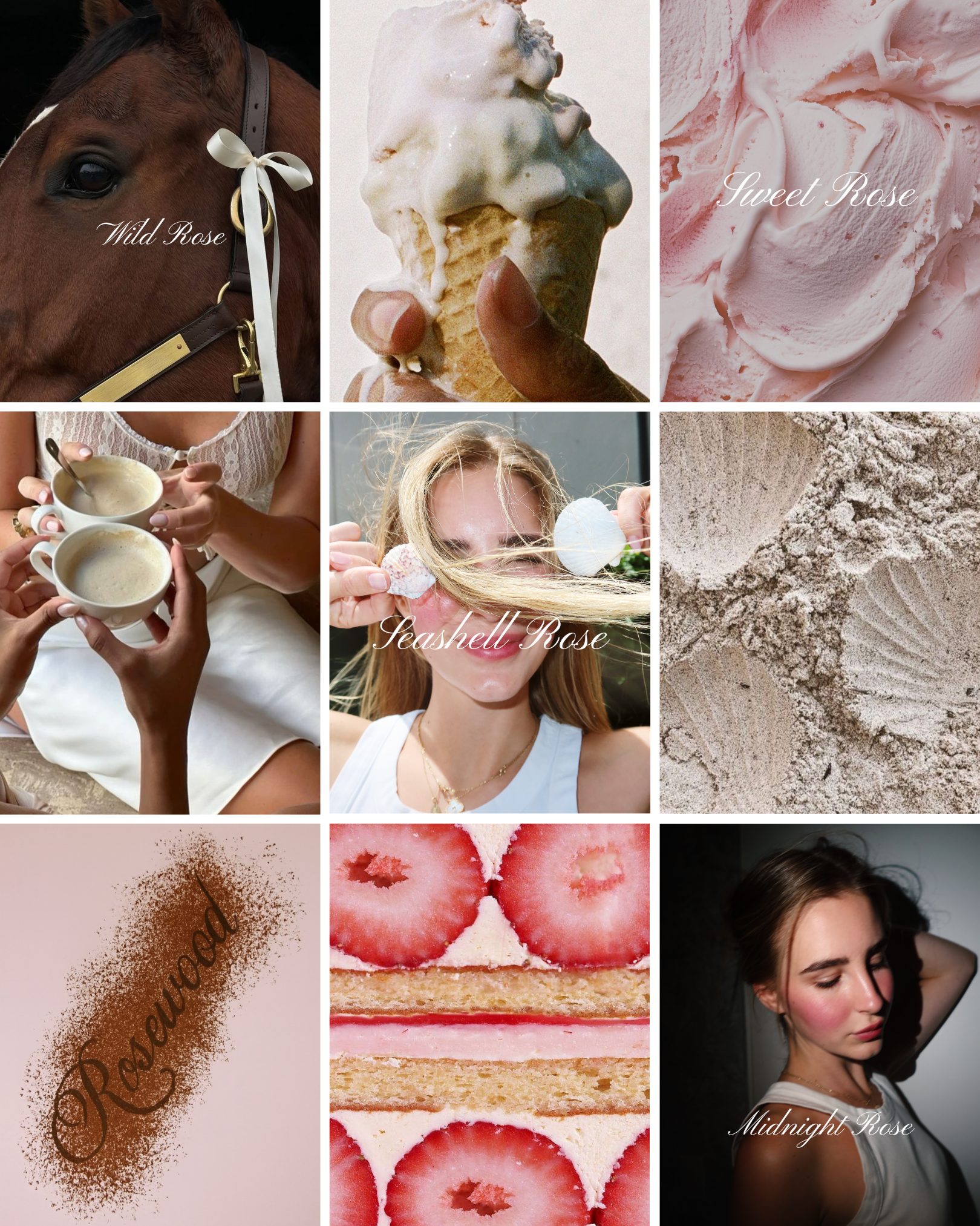 Moodboard of nine rose-themed photos labeled 'Wild Rose', 'Sweet Rose', 'Seashell Rose', 'Rosewood', 'Midnight Rose'.
