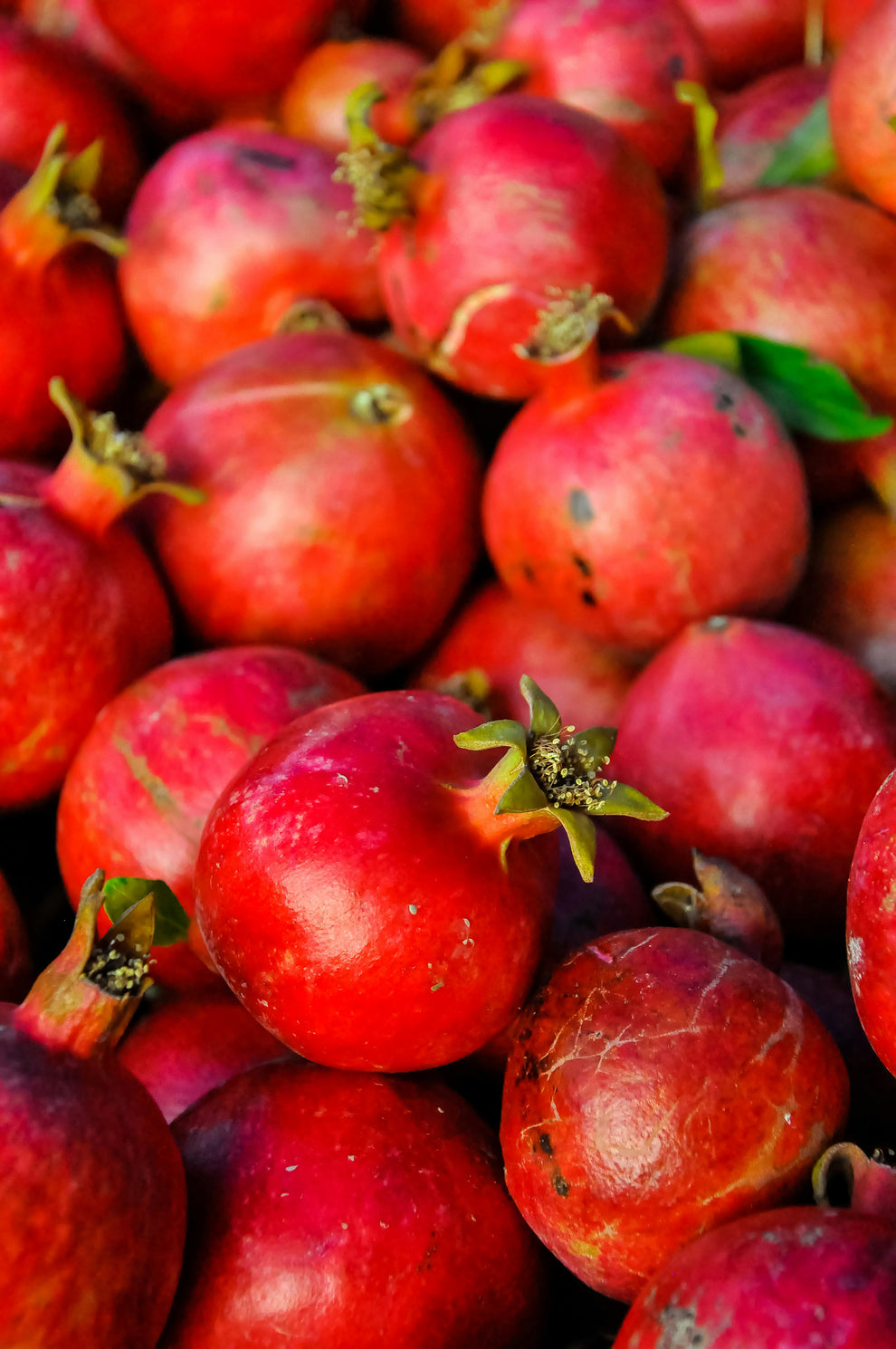 Ripe pomegranates with glossy red skins and green calyxes, piled closely together.