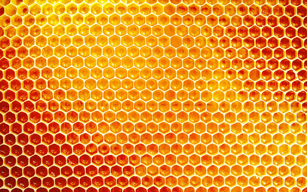 Honeycomb close-up showing repeating hexagonal cells filled with golden honey