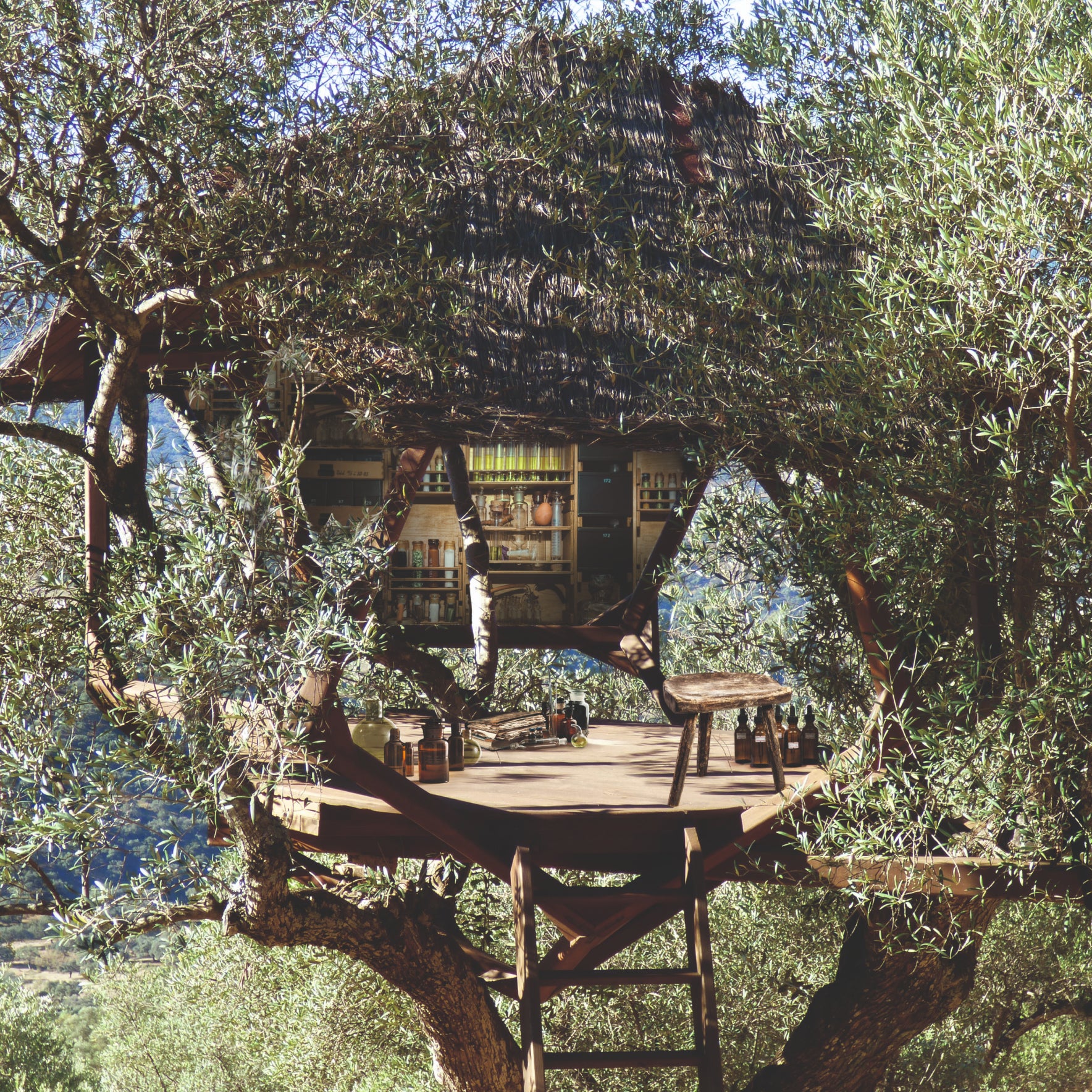 patrol_placeholder_0333ee53c8606bf0bac4241b4507a45d