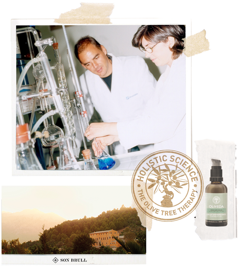 Scientists mixing blue solution in lab glassware; stamp HOLISTIC SCIENCE THE OLIVE TREE THERAPY; OLIVEDA; SON BRULL.