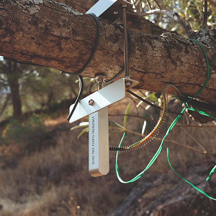 Metal trail sensor clamped to a tree branch with coiled wires and green ribbon in dry woodland