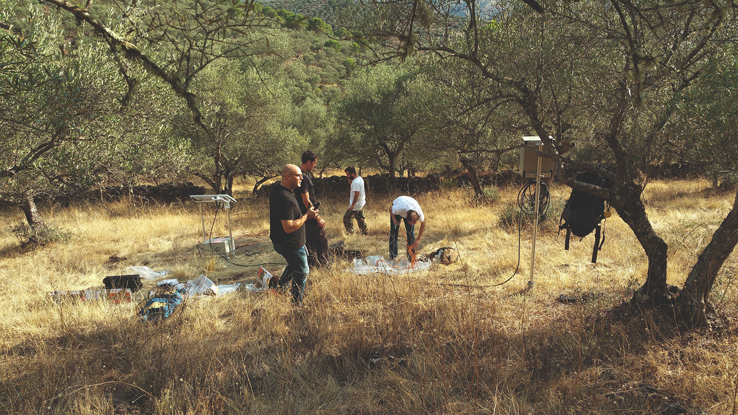 Four technicians unpacking equipment and cables beneath olive trees in a grassy grove, with a control box on a pole.